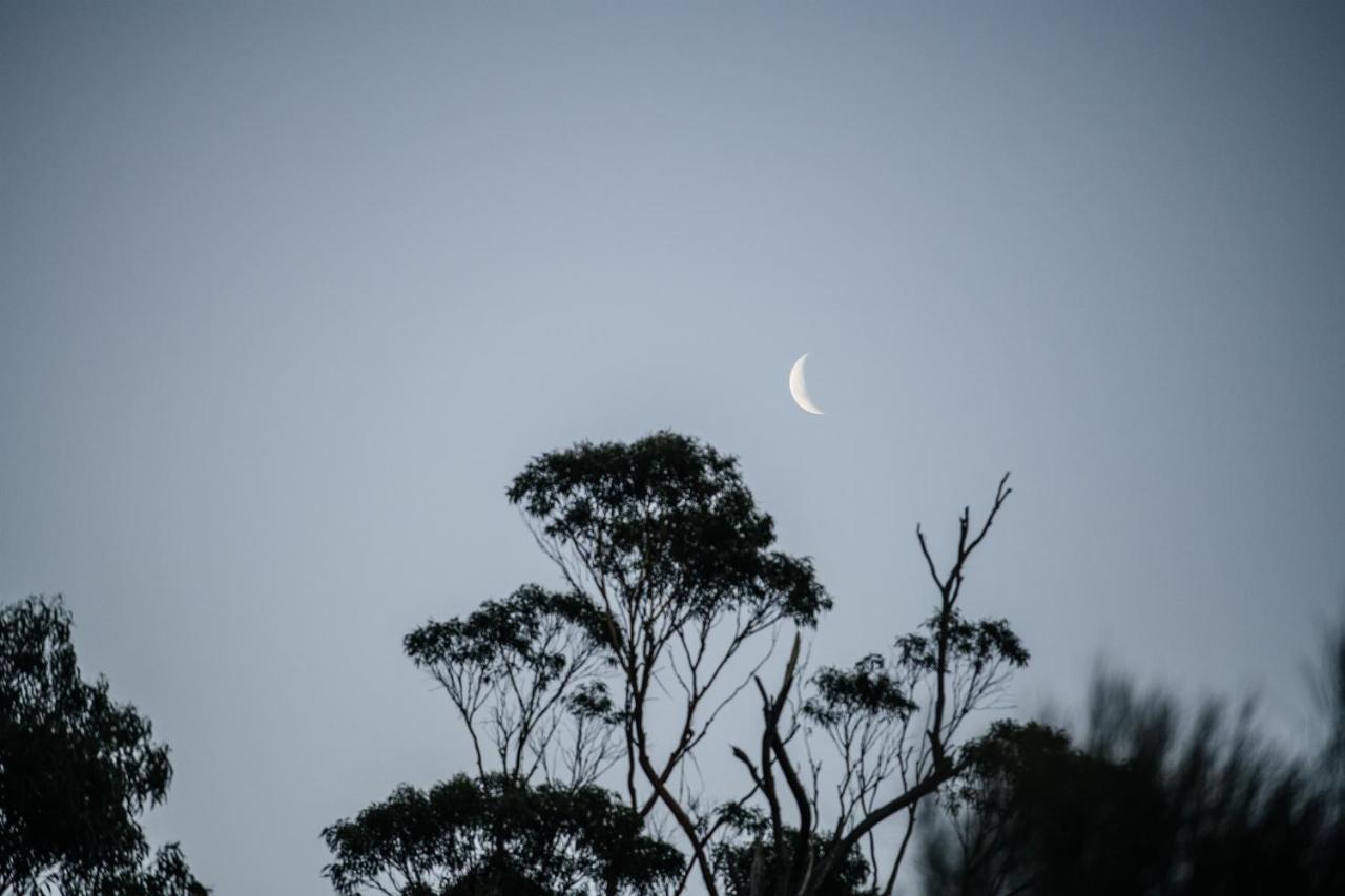Freycinet Resort Coles Bay Zewnętrze zdjęcie