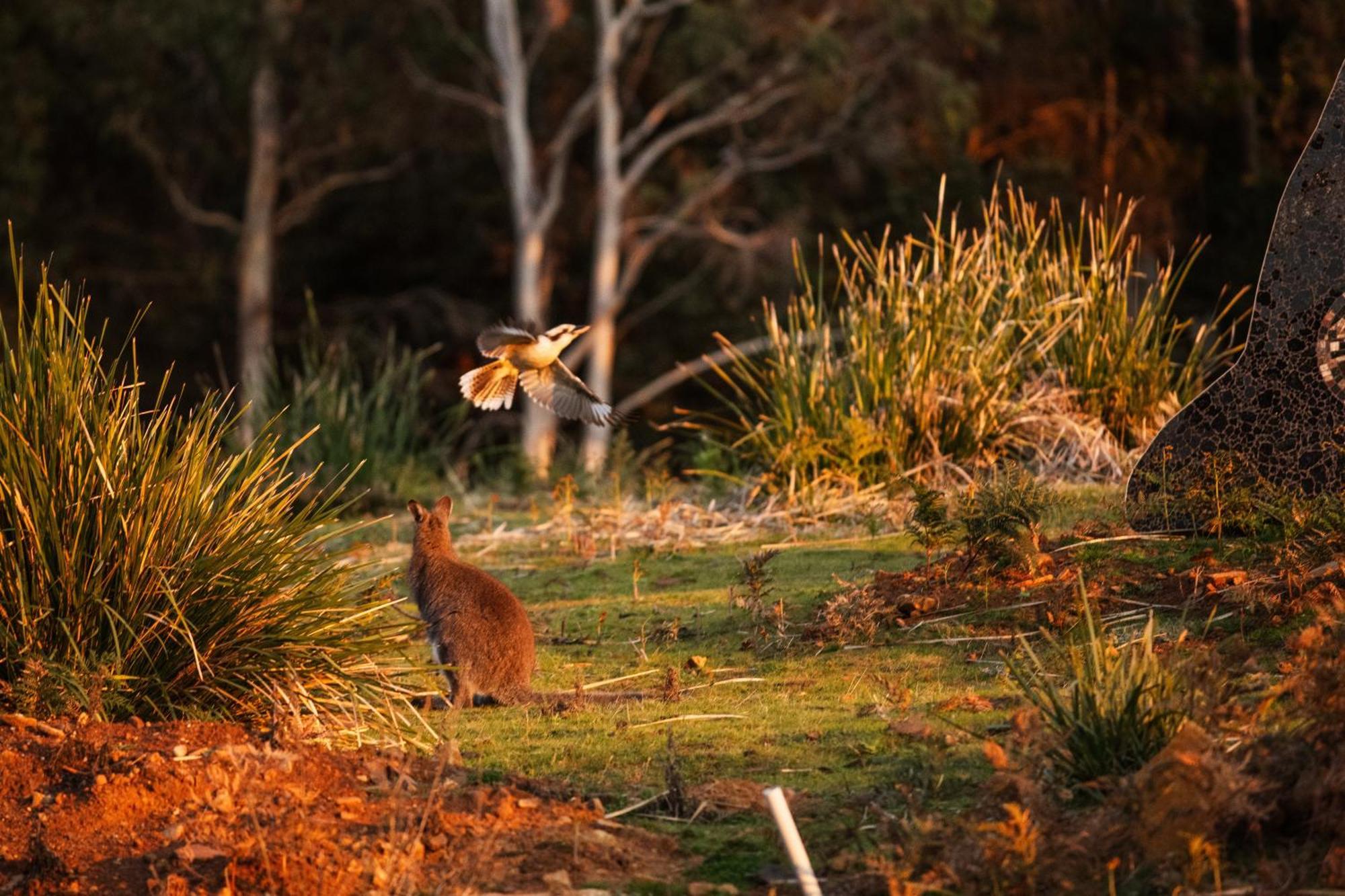 Freycinet Resort Coles Bay Zewnętrze zdjęcie
